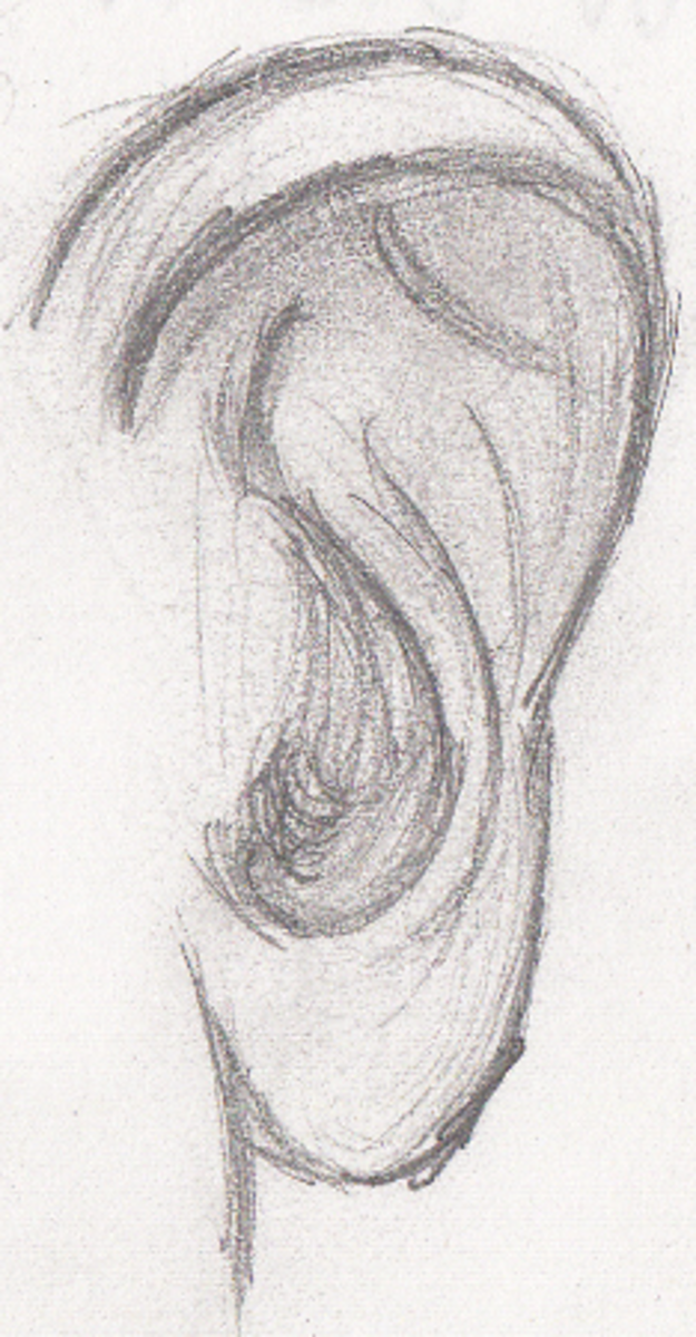 Human anatomy ear sign pencil sketch Royalty Free Vector