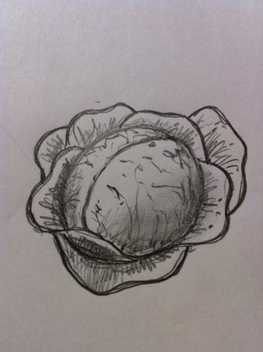 Here is the finished cabbage drawing made easy.