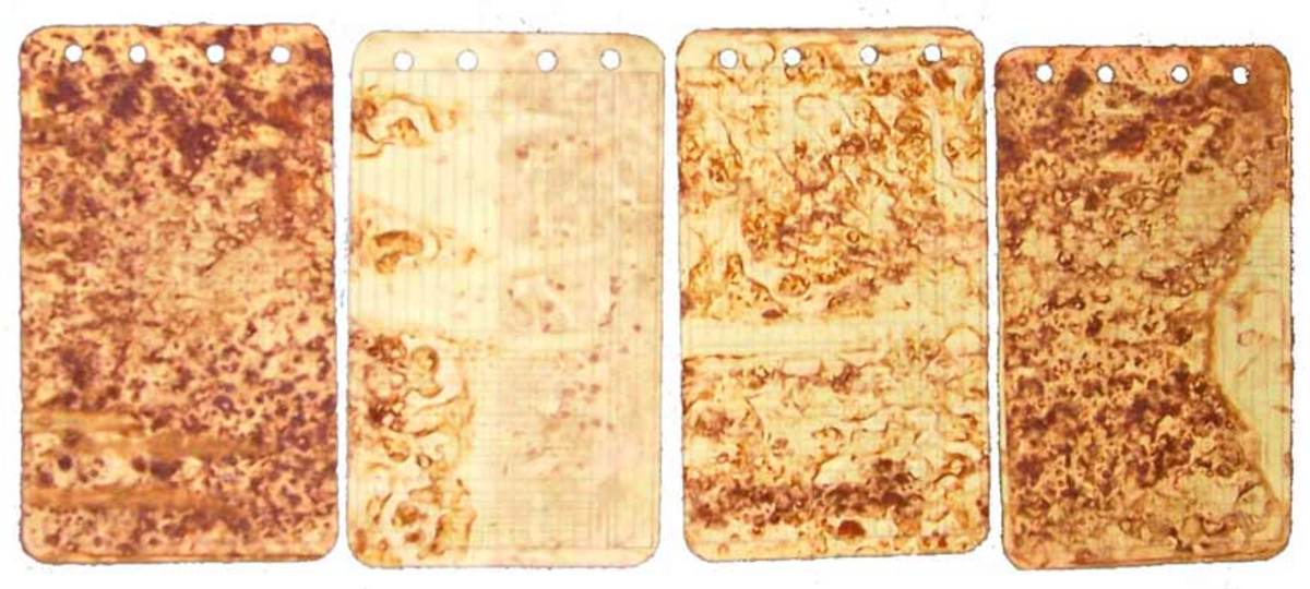 Rusted ledger sheets, made using rusting plates