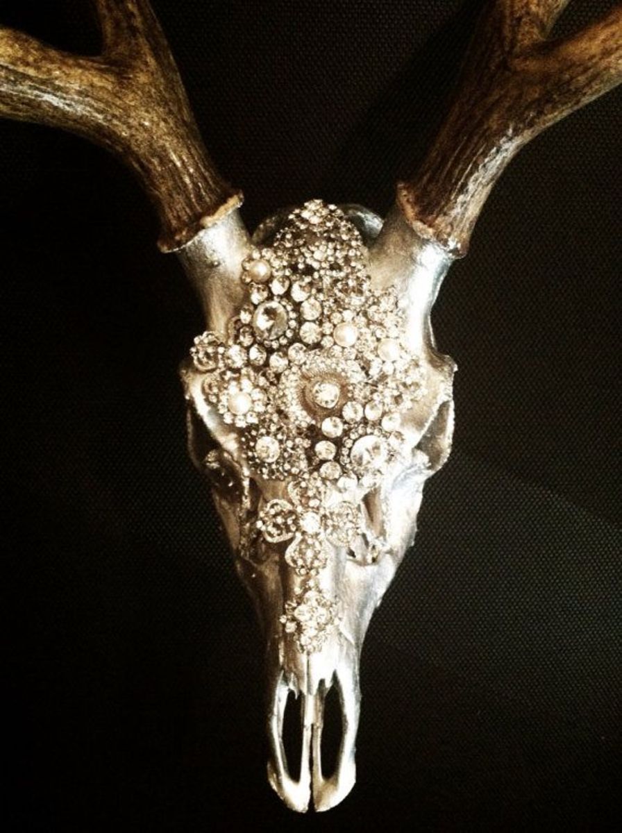 Crafty Things to Do With Animal Skulls Crafts