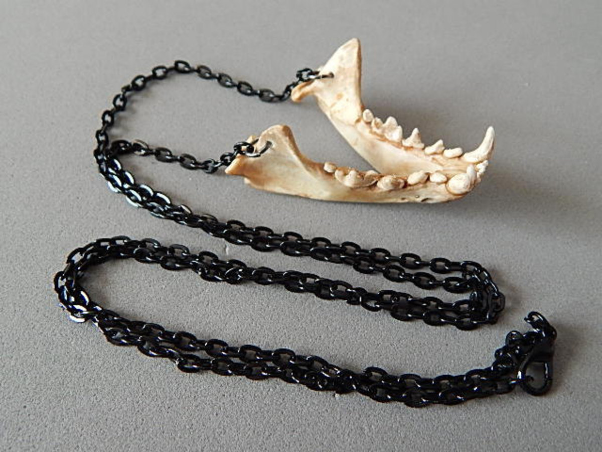 animal skull jewelry