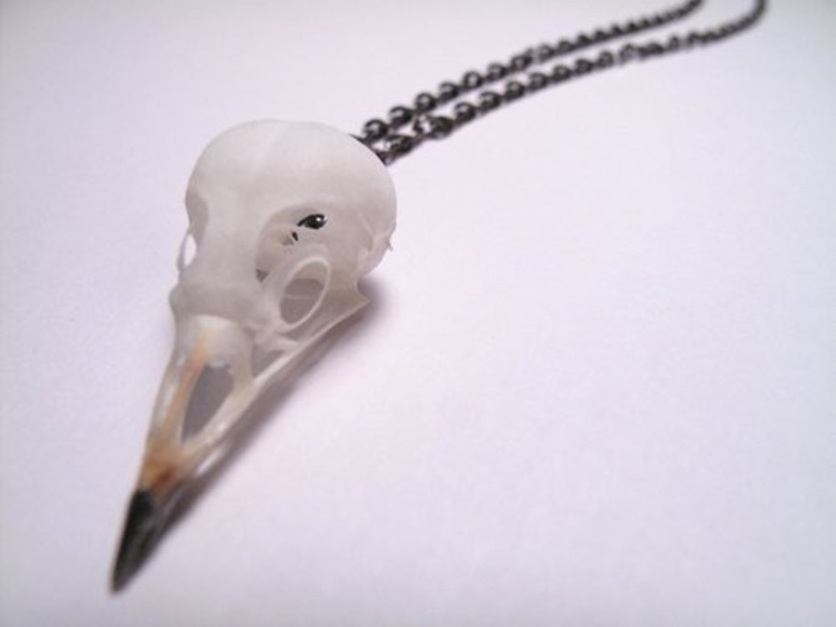 animal skull jewelry