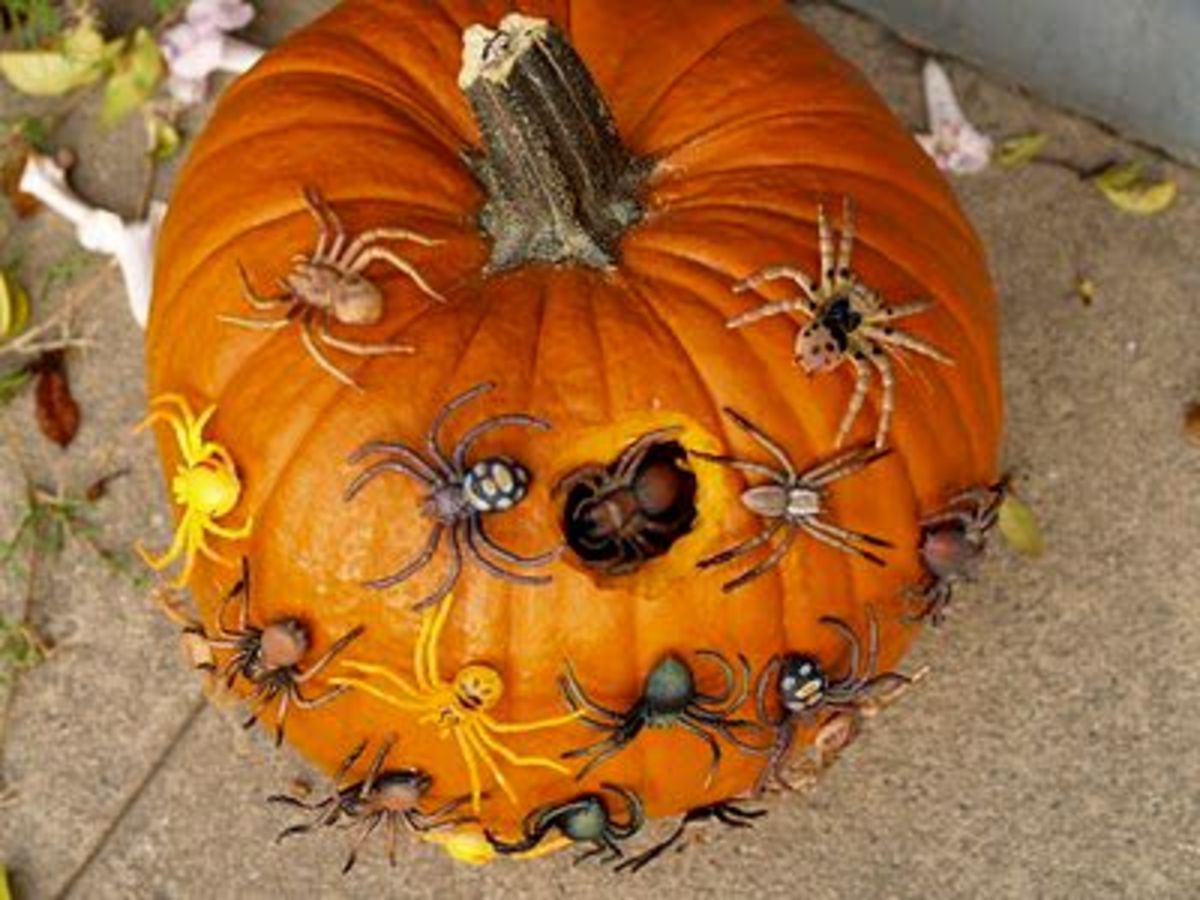 Pumpkin Spider Nest
