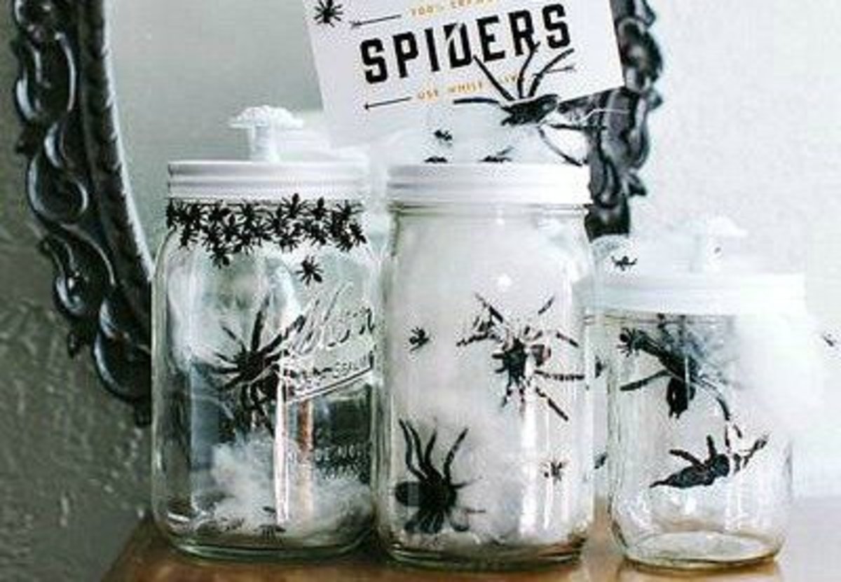 Spiders in a Jar