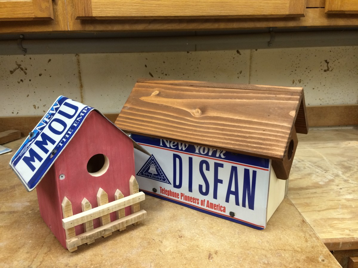 Philadelphia Eagles Football License Plate Bird House Unique