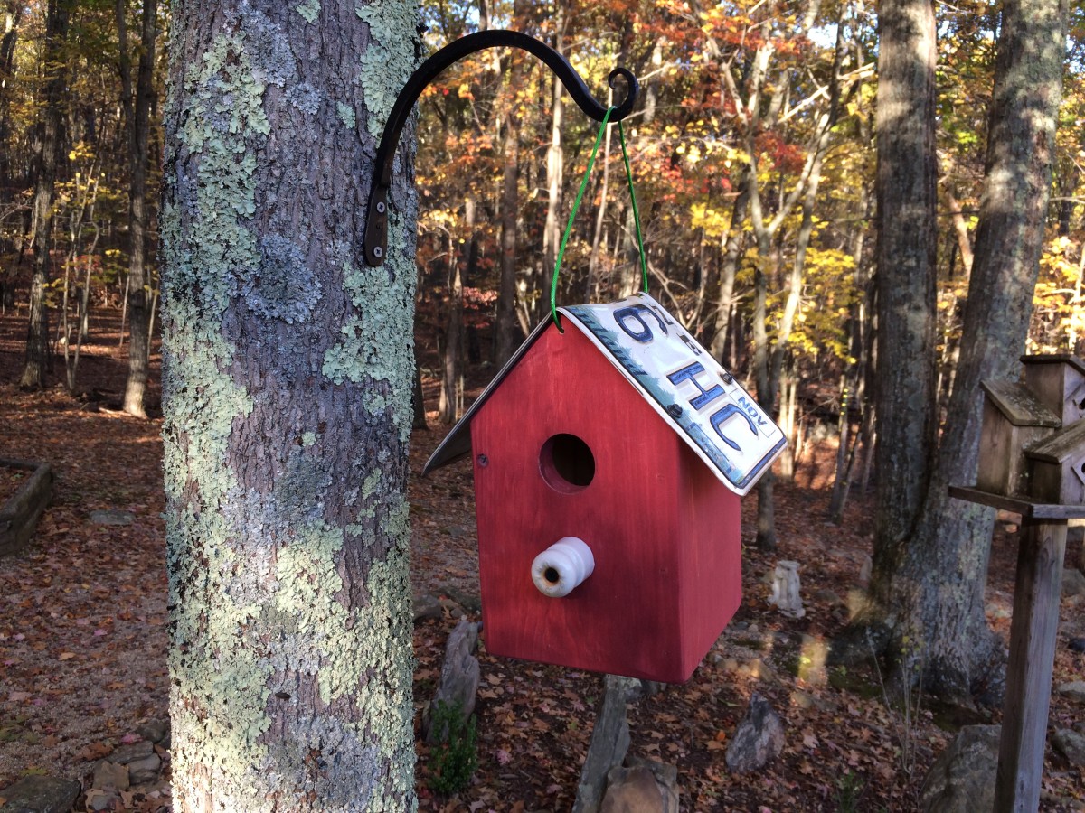 For the comfort and safety of the baby birds, do not place these birdhouses directly in the hot sun. 