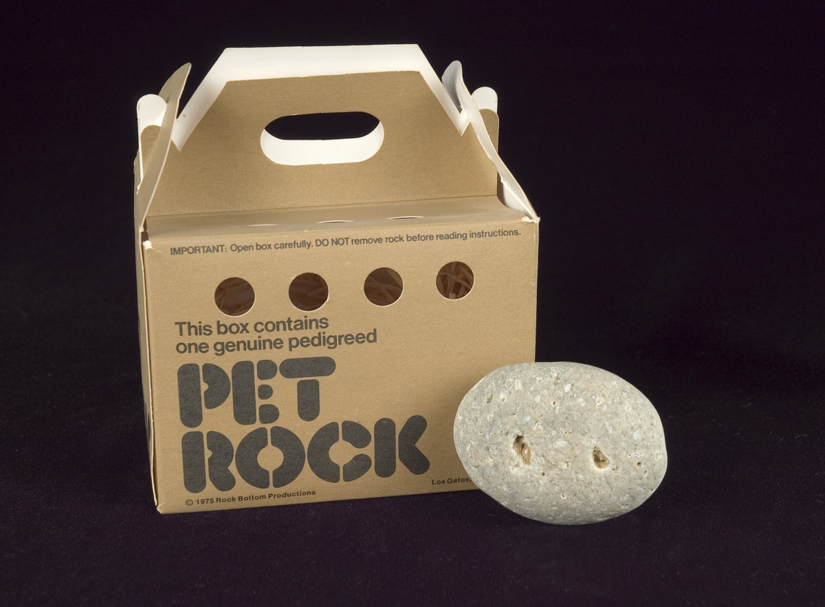 Pet rocks were all the rage in the 1970s!