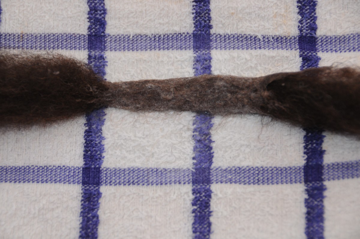 Rub a small section of the wool roving gently at first on the wet area of the tea towel.