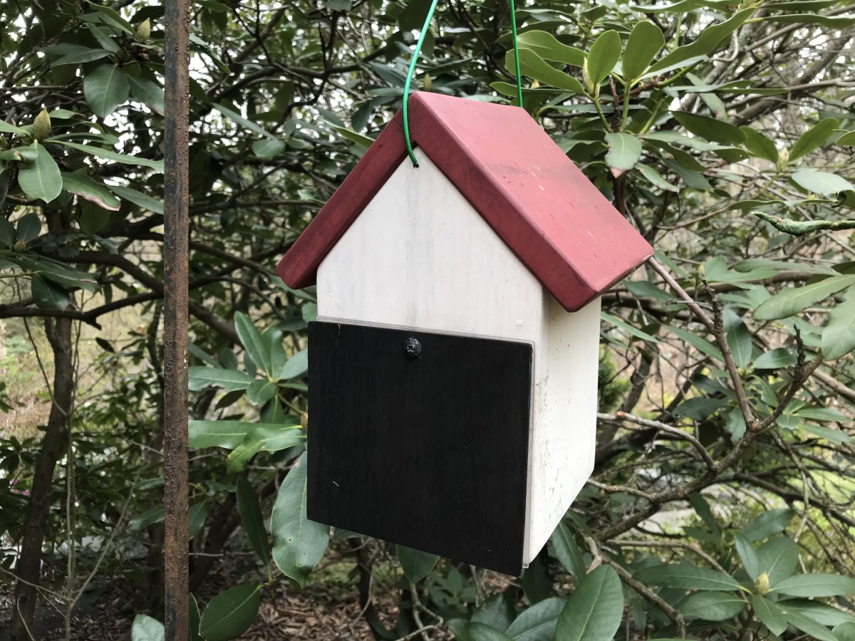 The back panel provides privacy and security for the birds, then swings up to peak inside the nest box