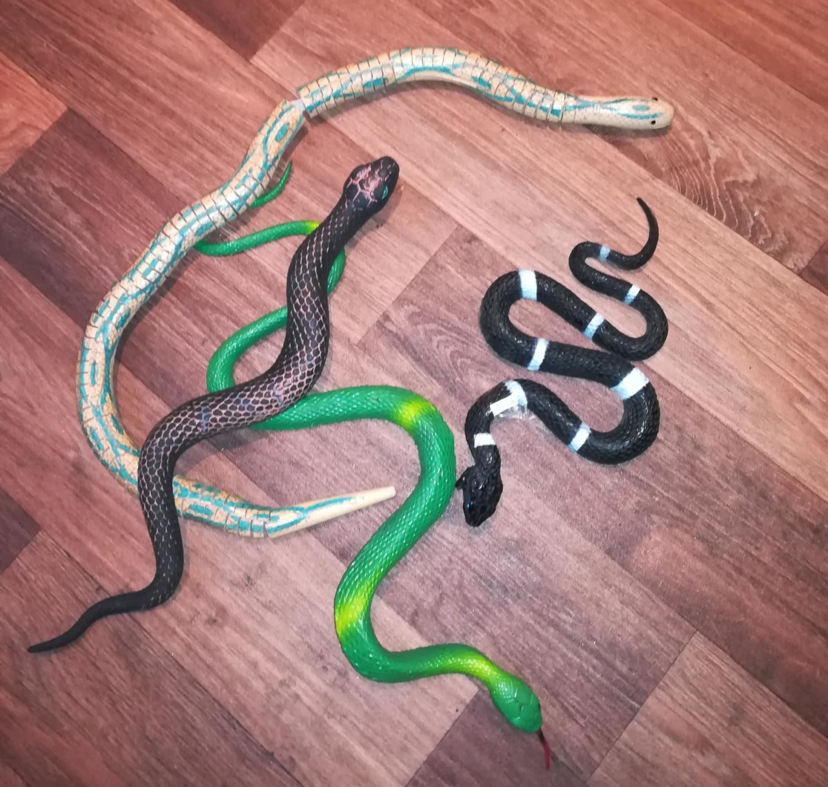 These are the toy snakes I used for my Halloween wreath. 