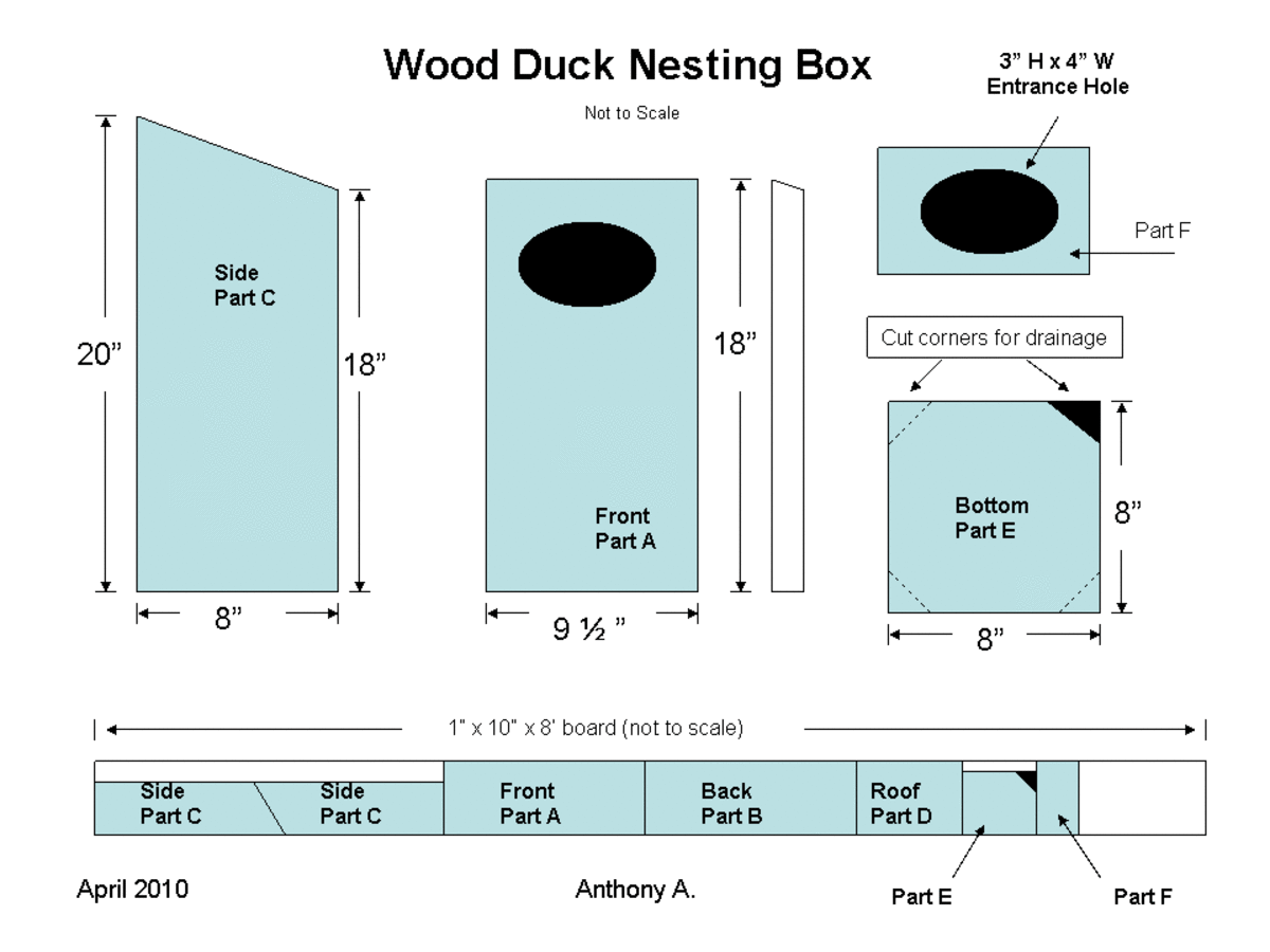 Wood Duck Nest Box Plans