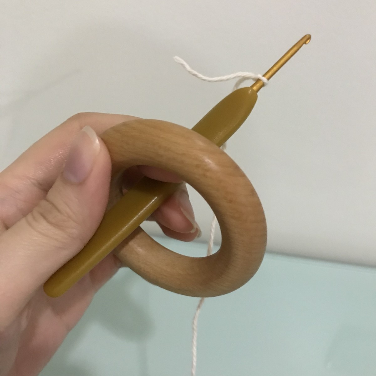 After making the slip knot, insert the hook through the ring from the back so the working yarn is at the back of the ring.