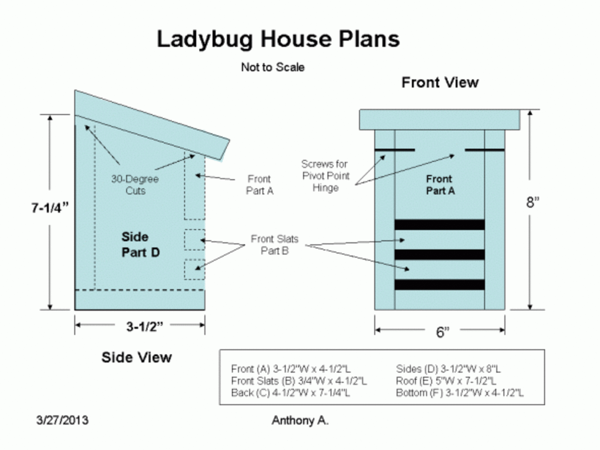 Ladybug house plans