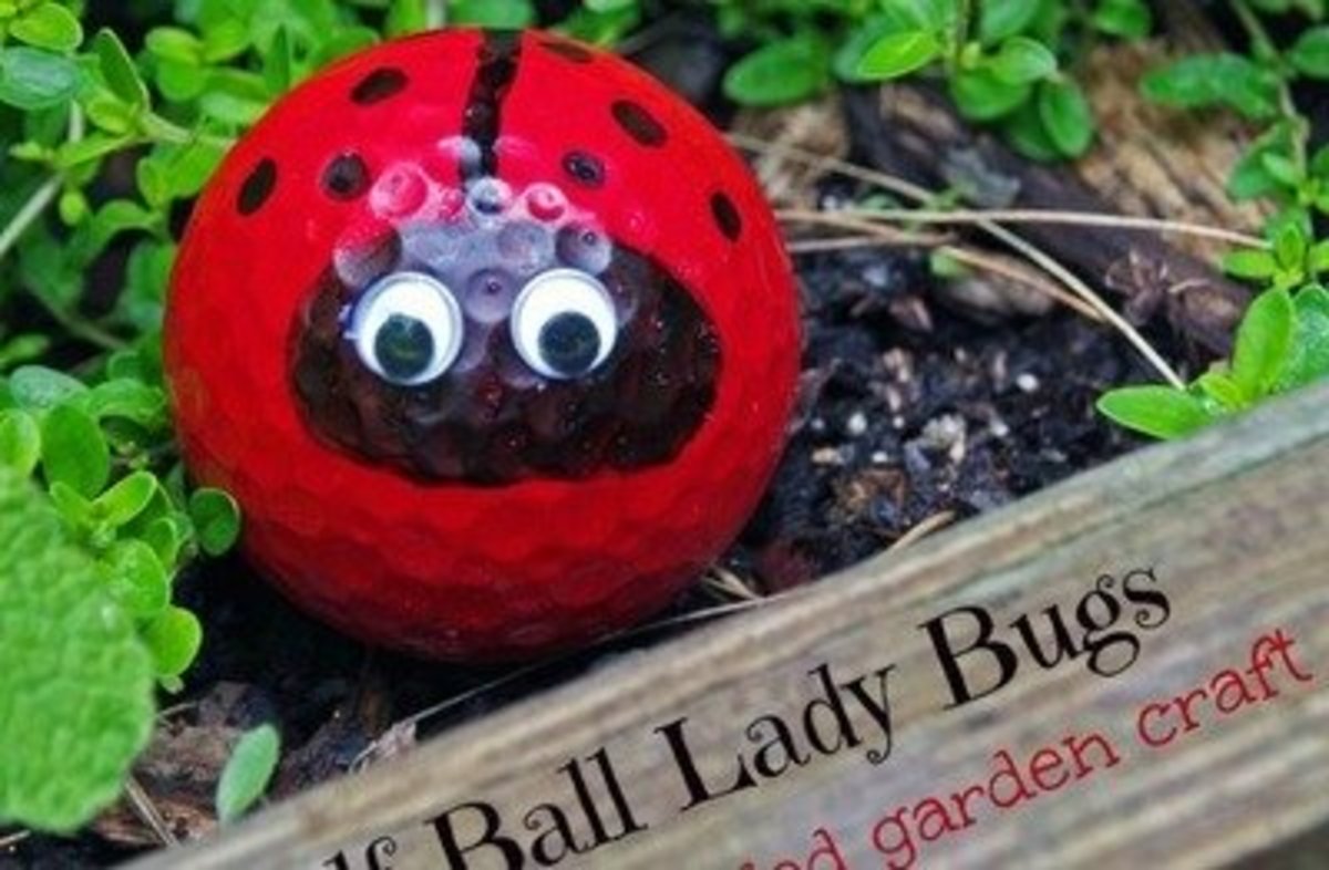 Golf ball ladybug