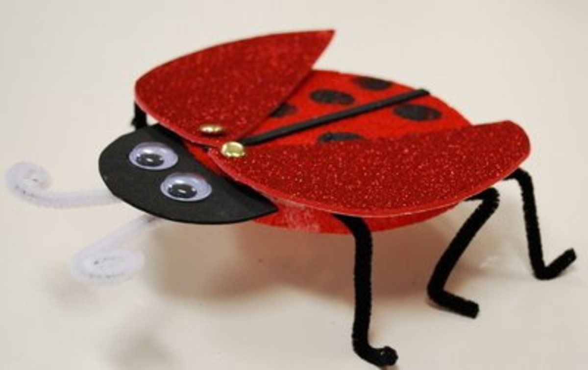 3-D ladybug