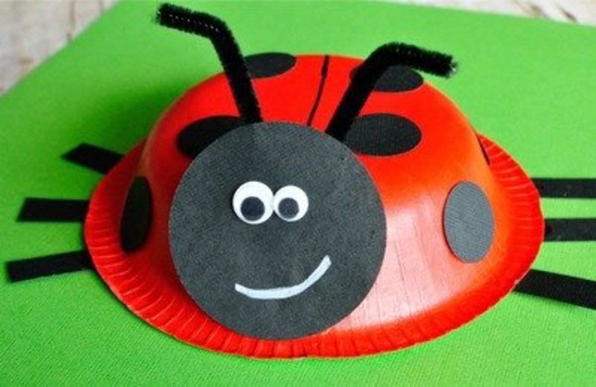 Bowl ladybug