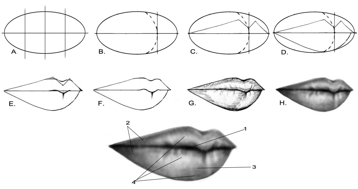 How to Draw Lips  Our Guide to Drawing a Lifelike Mouth