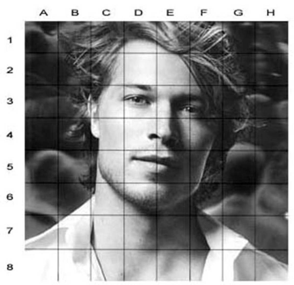 Drawing Grids for Your Reference Photos