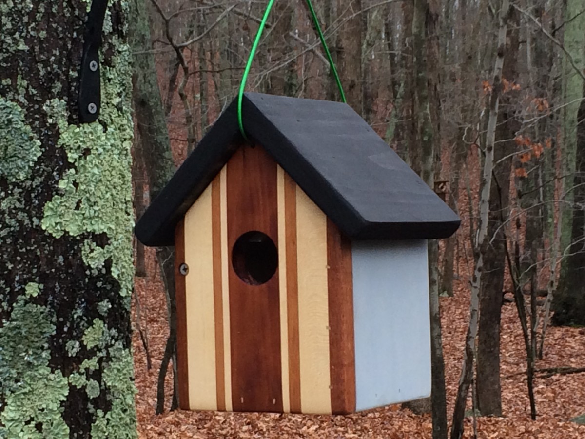 Bluebird House Plans How to Build a Rustic Decorative Bluebird