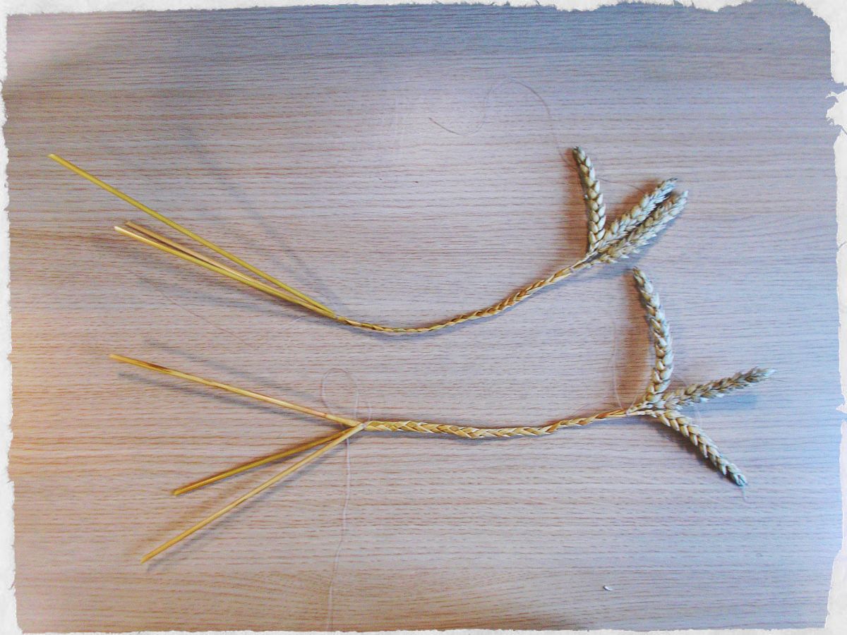 Repeat with the other three stalks, and make sure both plaits are of equal length.