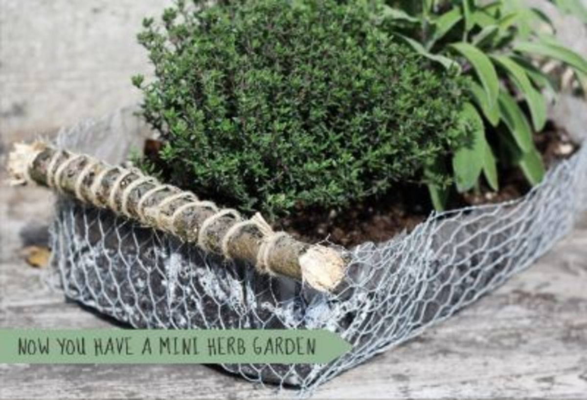 41 Rustic Chicken Wire Craft Ideas Crafts