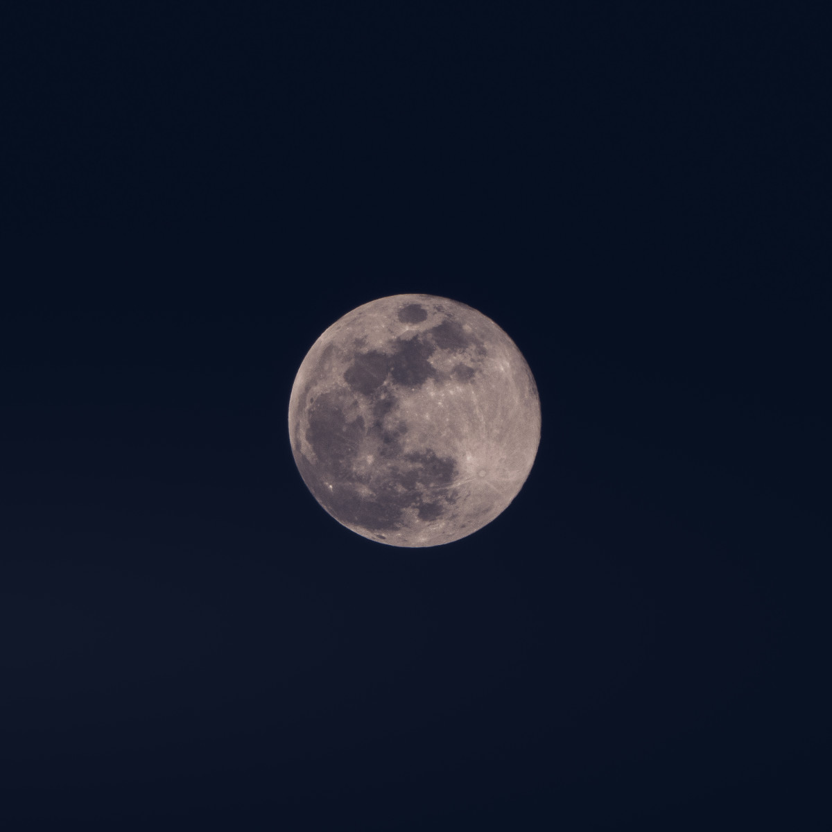 Full moon at night. 