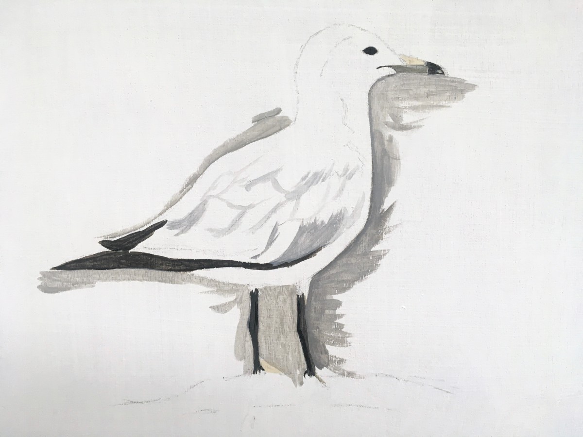 how-to-paint-a-seagull-in-acrylic
