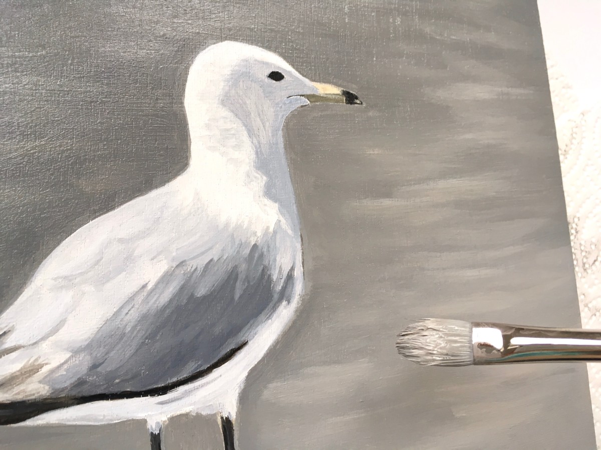 how-to-paint-a-seagull-in-acrylic