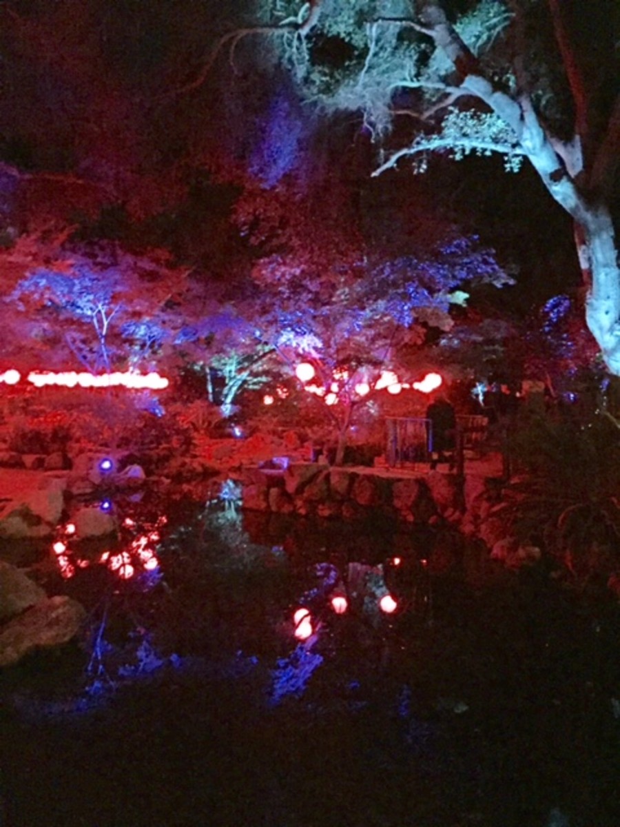 Best Holiday Light Show in Los Angeles Holidappy