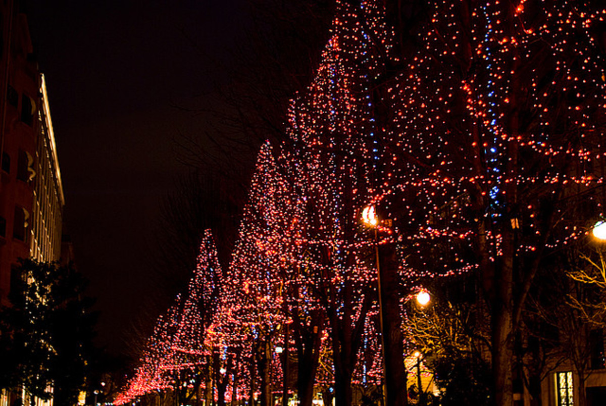 Lit-up trees line the streets. 