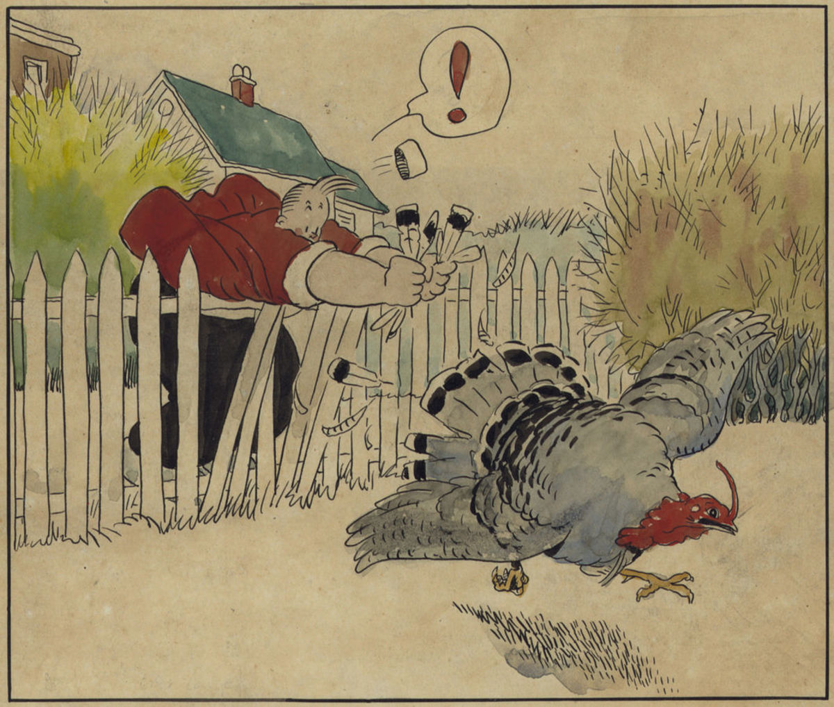 Funny turkey cartoon