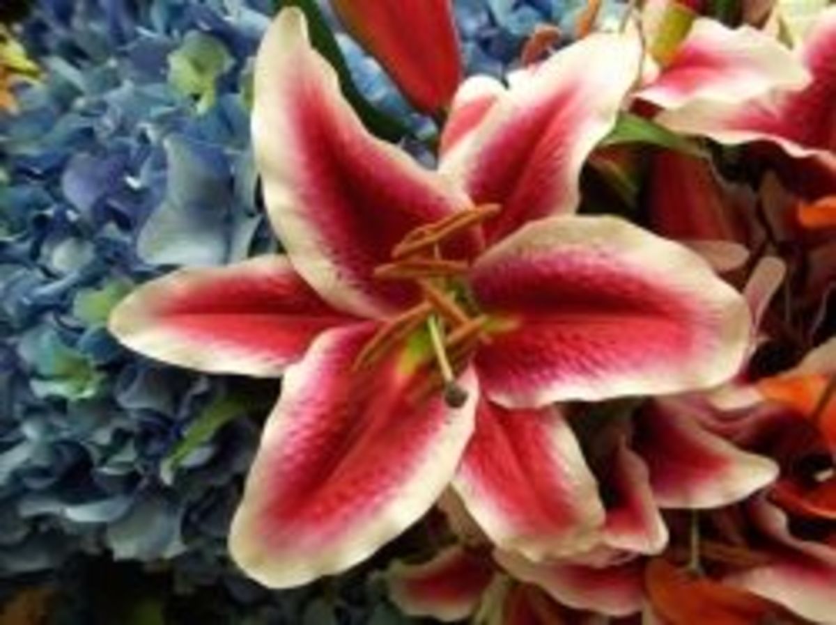 Silk lily and artificial hydrangeas at a local craft store