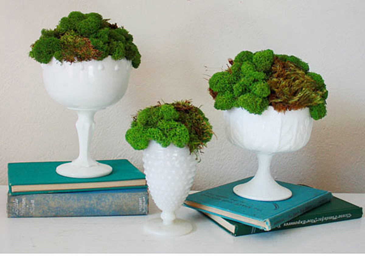 How to Create Professional Looking DIY Wedding Centerpieces - HubPages, image size:1200x841