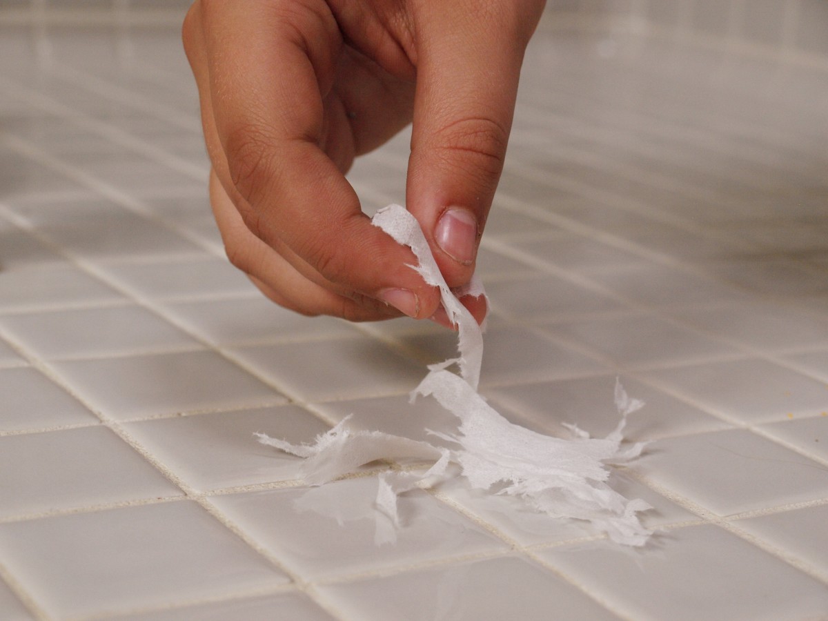 3. Separate tissue or toilet paper into single layers and tear into small pieces. Make sure the tissue is one layer thick and tear so some pieces are small.