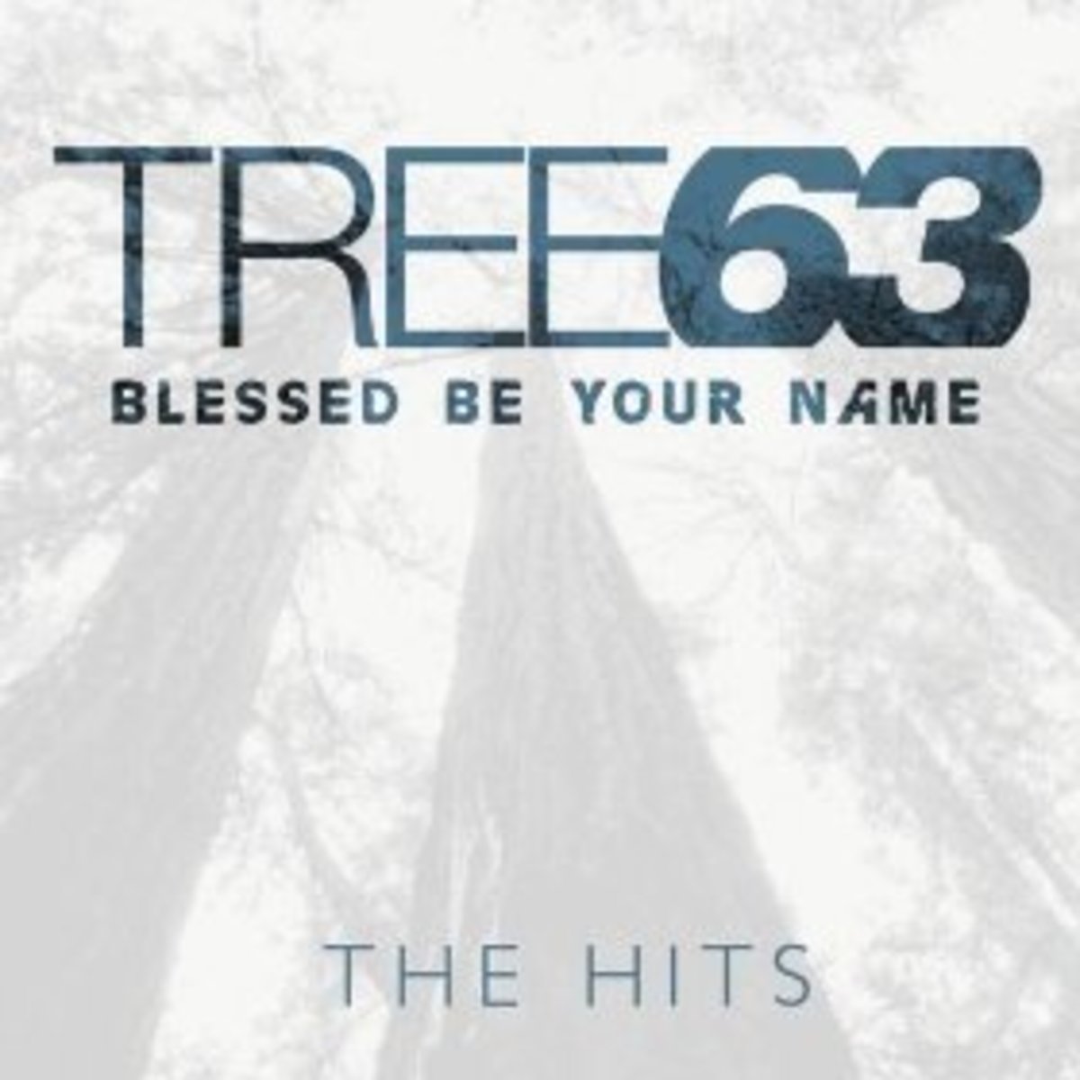 "Blessed Be Your Name," Tree63