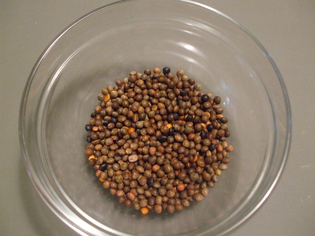 The vetches are placed in a bowl.