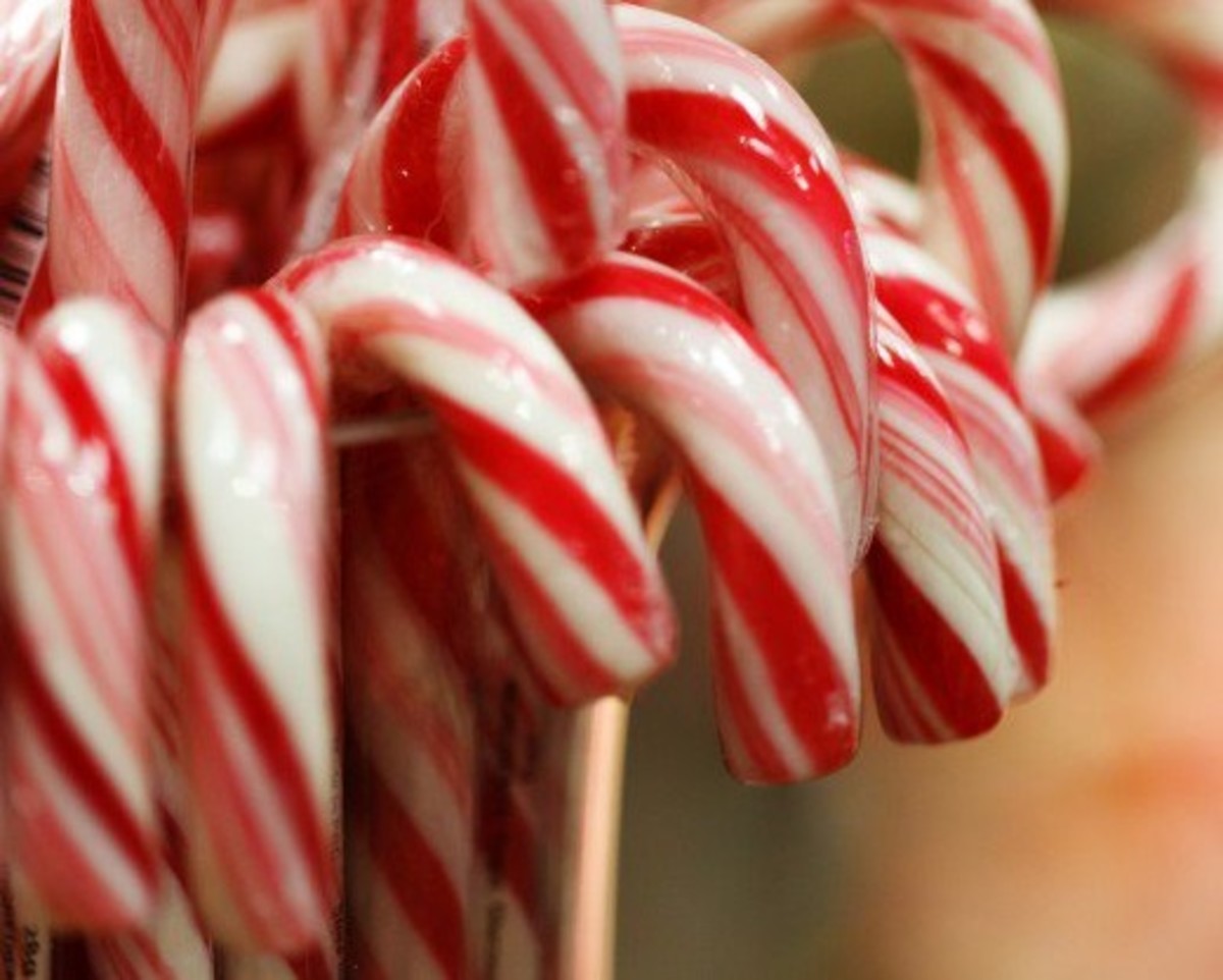 The candy cane, shaped like the Shepherd’s crook, reminds us of Christ the Good Shepherd.