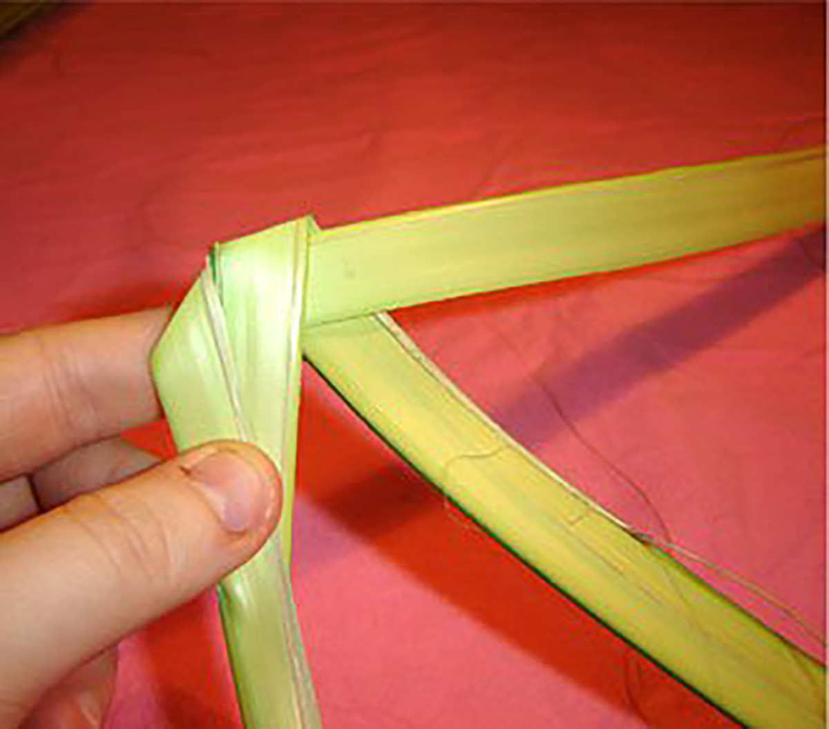 how-to-make-a-palm-rose-for-palm-sunday-hubpages