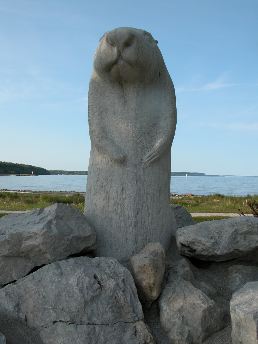 What Is Groundhog Day? Plus Spiritual Meaning & Movie Notes - HubPages
