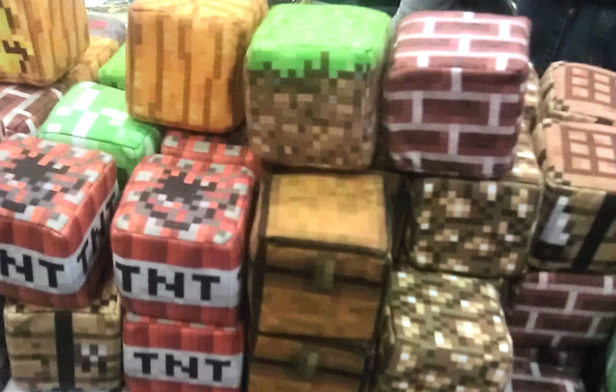 Minecraft is wildly popular with kids of all ages. 