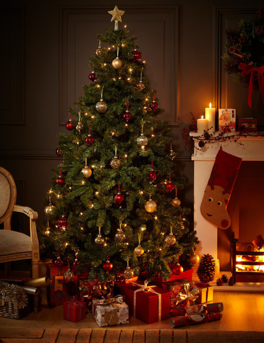 Facts About Christmas Trees 2022 15 Trivia Facts About Christmas Trees - Holidappy