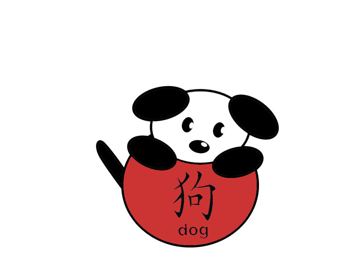 Chinese character for "dog":  black and white dog, red ball
