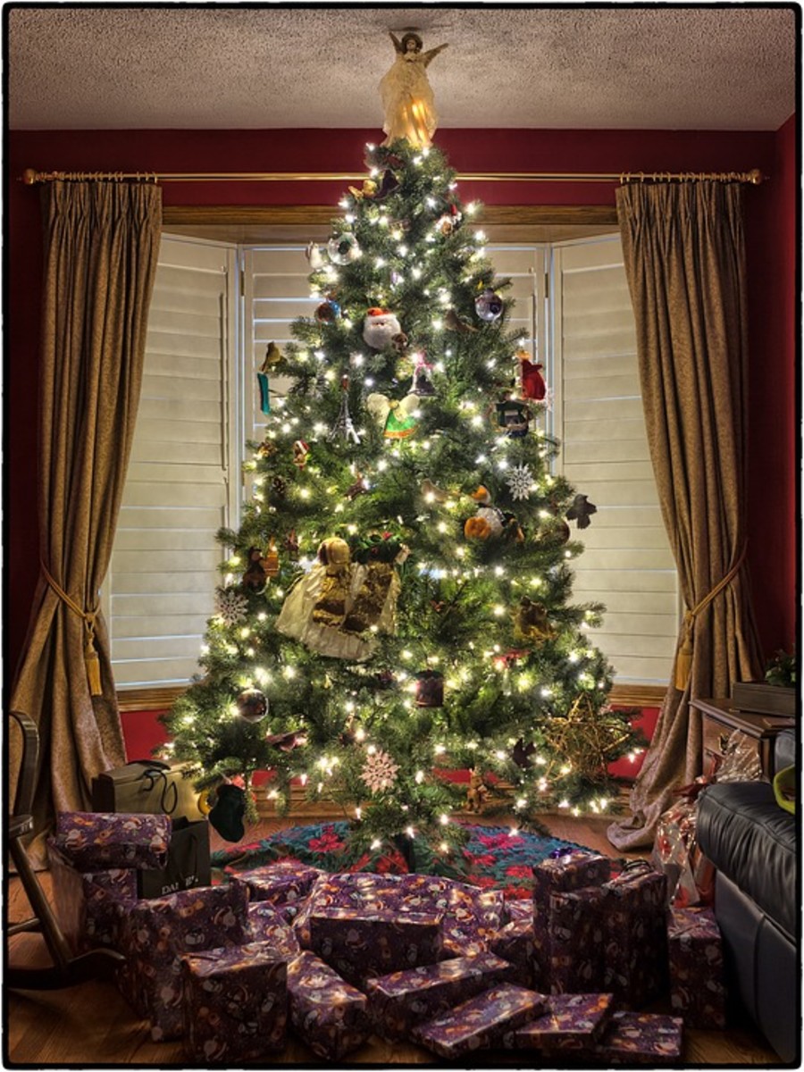 How to Choose and Care for a Living Christmas Tree Holidappy