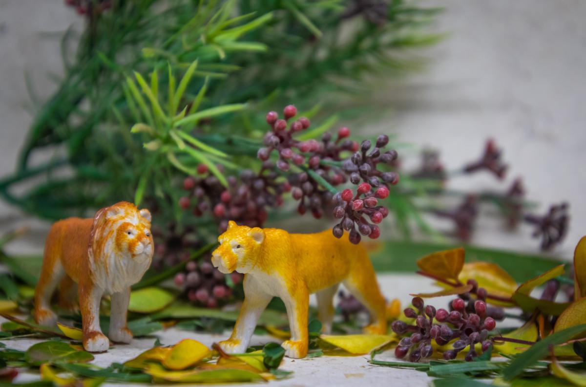 Cultivate your son's interest in animals by throwing a zoo or safari-themed birthday party. 