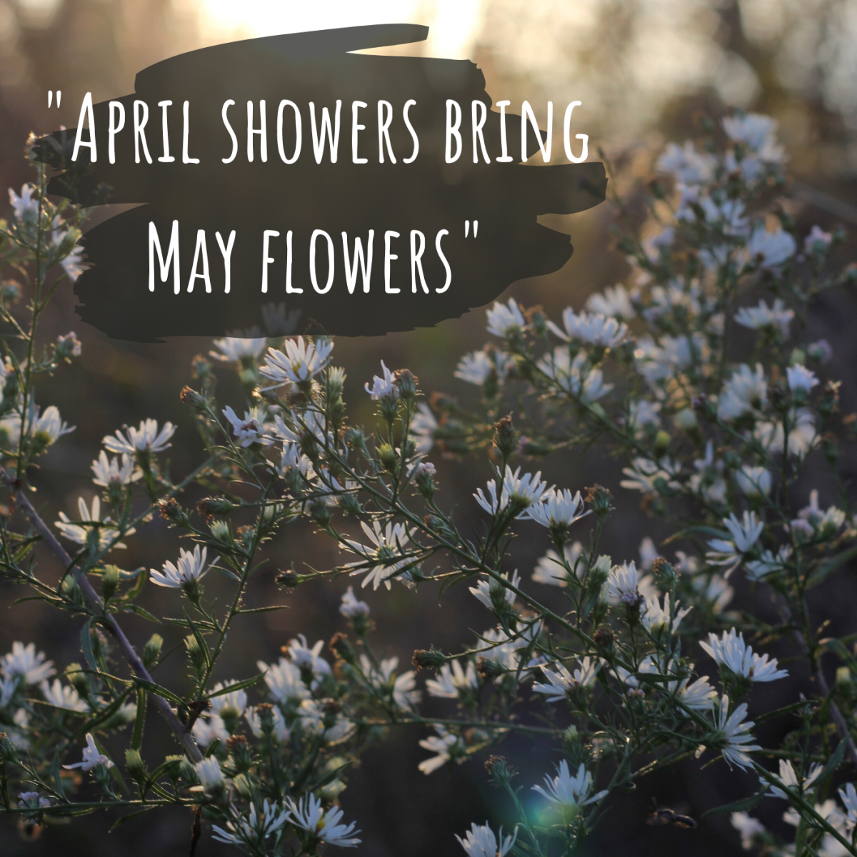 April showers bring May flowers. 