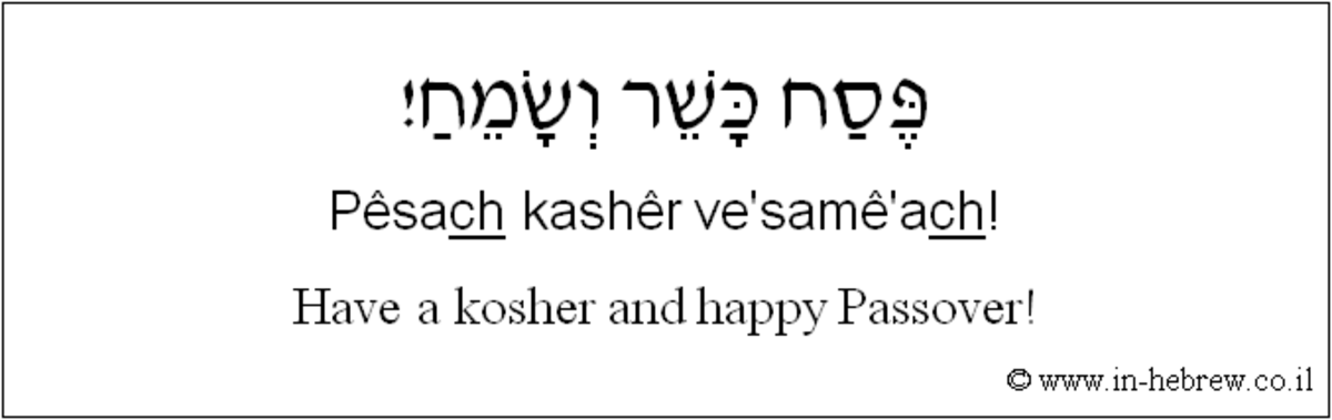 Have a kosher and happy (and vegan) Passover!