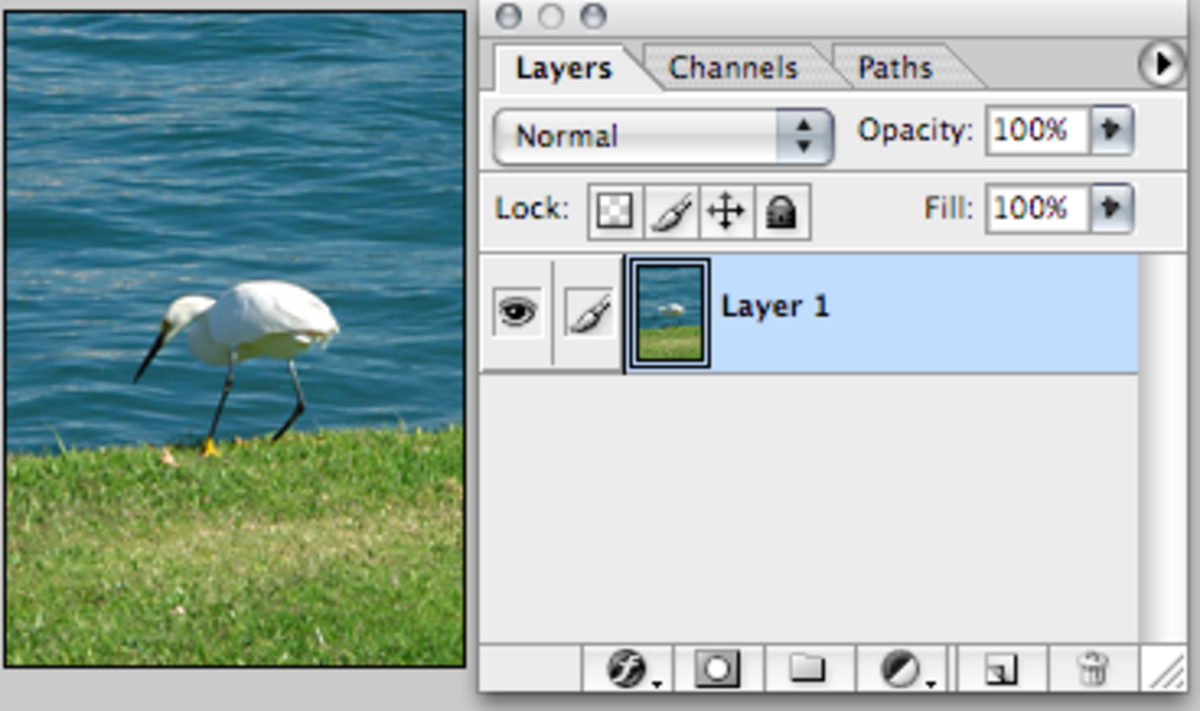 Paste in an image and open the Layers Palette.
