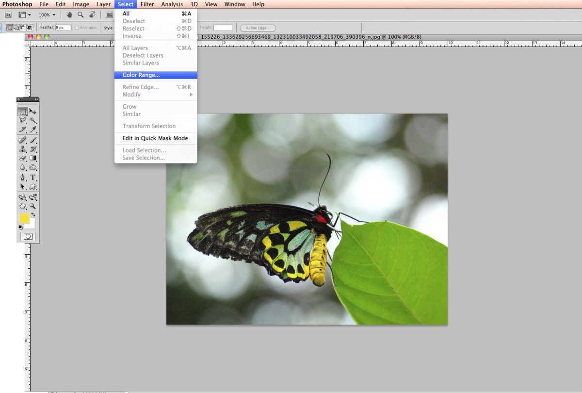 how-to-pull-out-specific-colors-in-photographs-using-adobe-photoshop