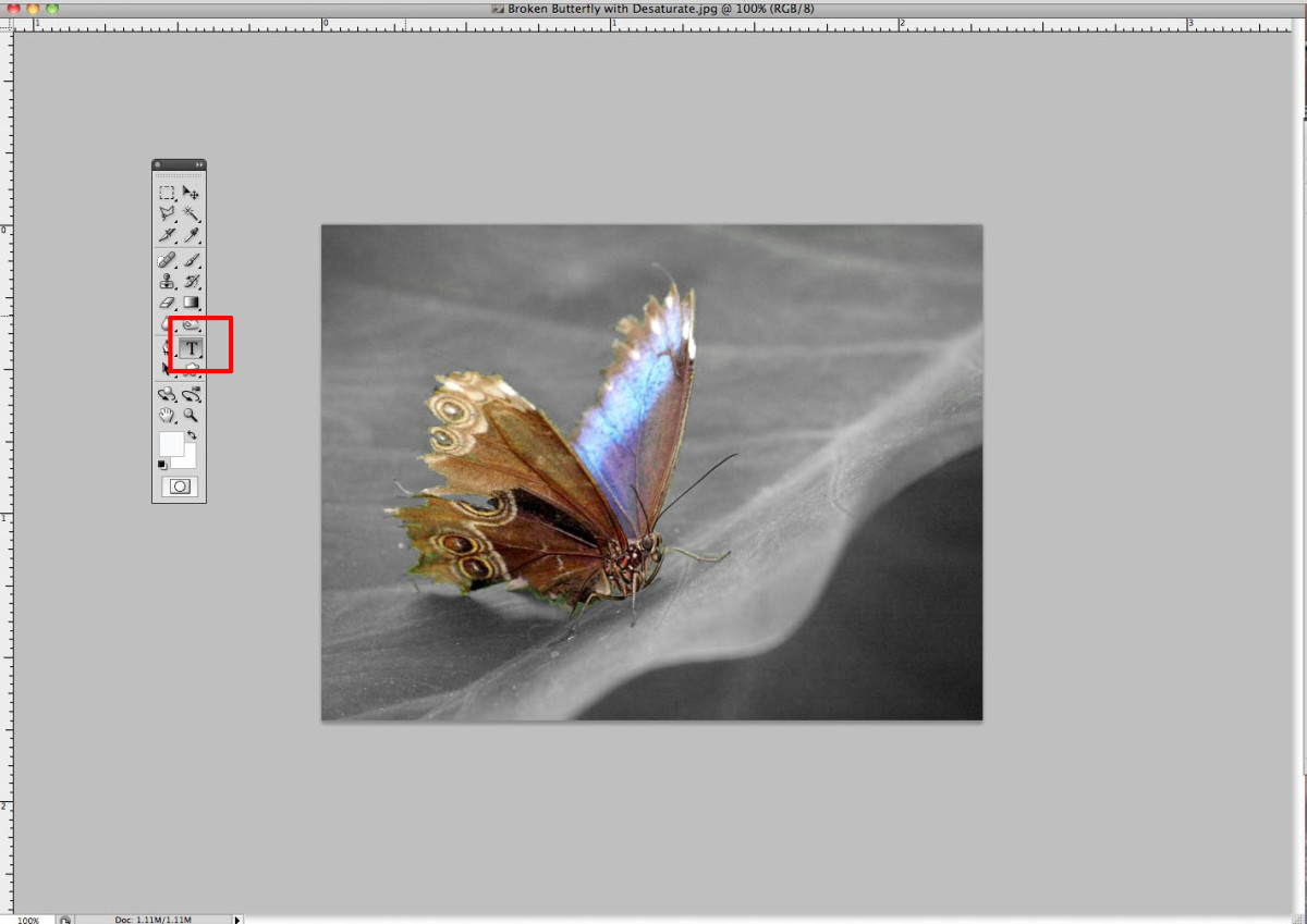 在Adobe Photoshop中选择文本工具