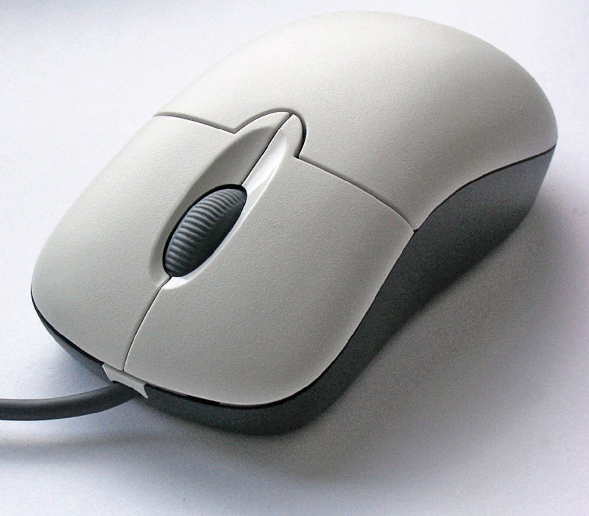 A Computer Mouse